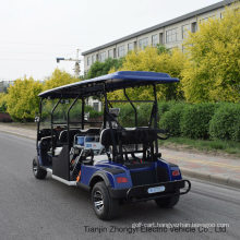 China Manufacturer Low Speed 2 Seats Sightseeing Wheelchair Electric Car for Sale